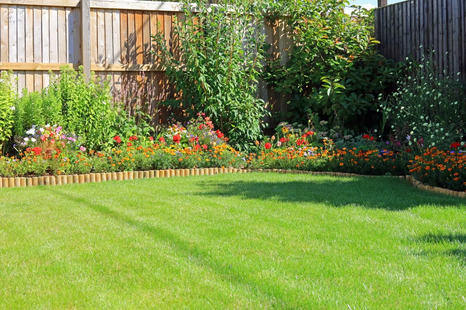 Installing new landscaping with sod and plants