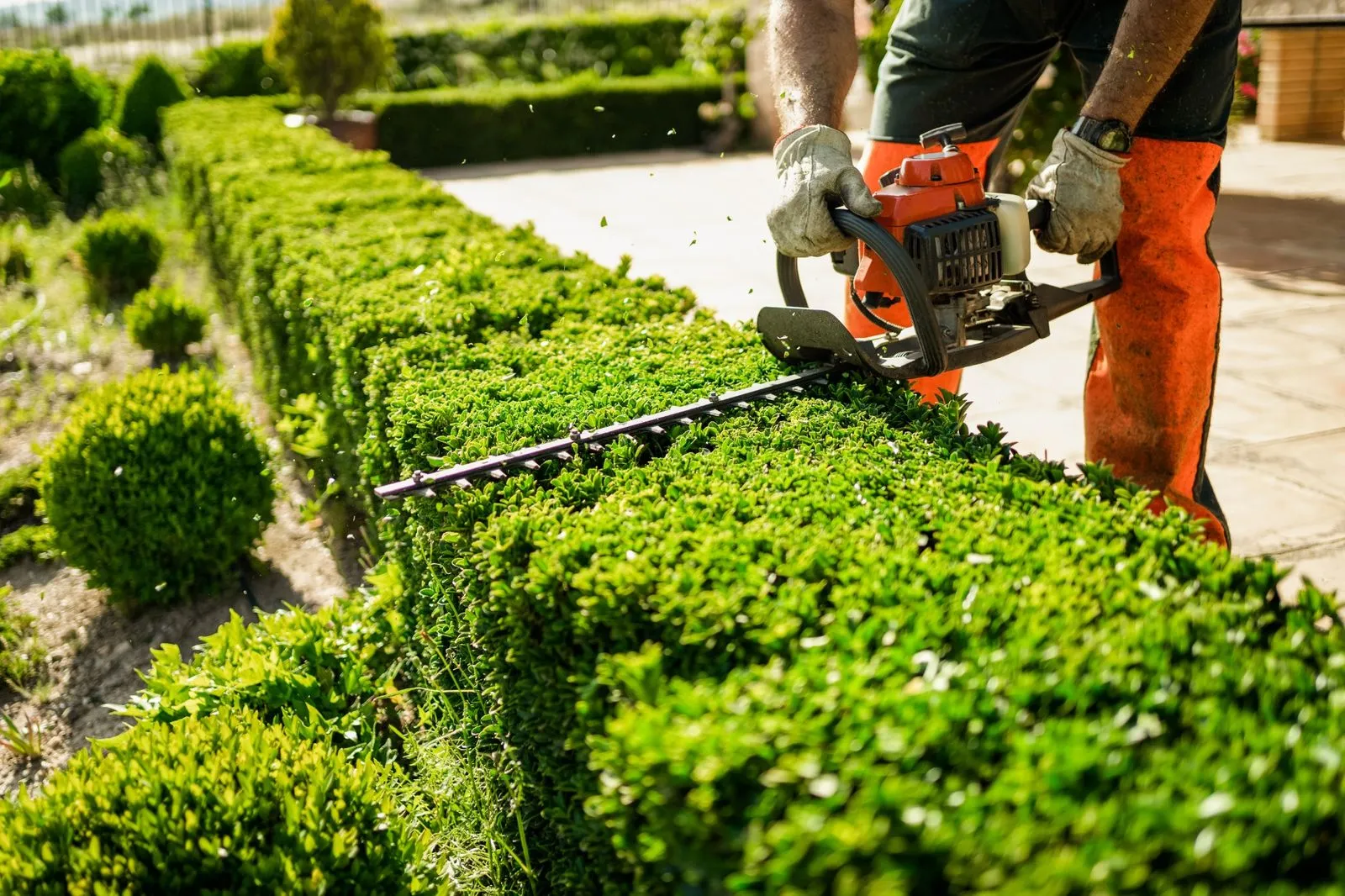 Seasonal landscape maintenance