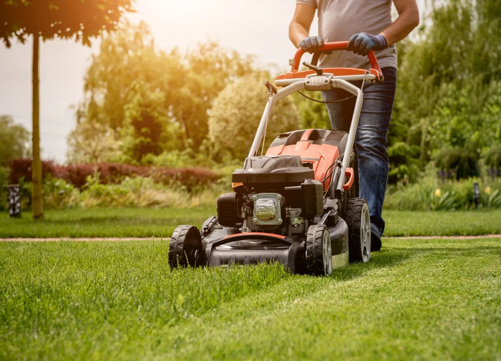Overview of lush green services